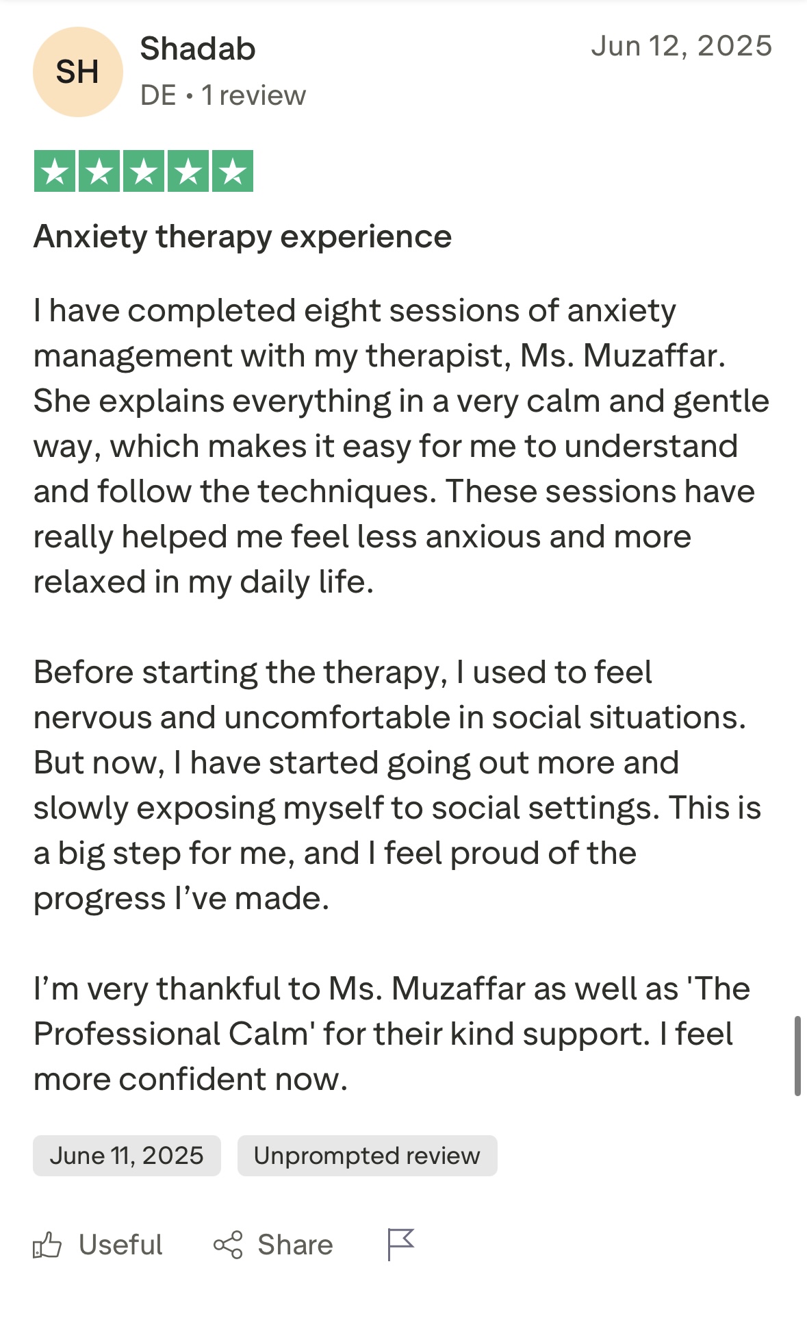 Trustpilot 5-star review 11